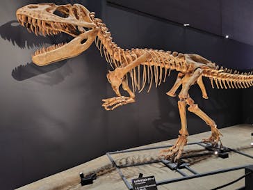 福井県立恐竜博物館に投稿された画像（2025/9/20）