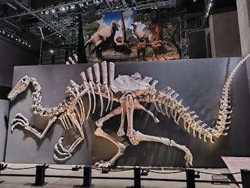 福井県立恐竜博物館に投稿された画像（2025/9/20）