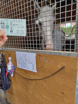 ノーザンホースパークに投稿された画像（2025/9/20）