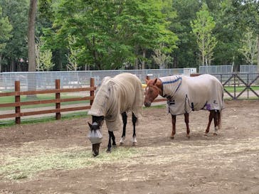 ノーザンホースパークに投稿された画像（2025/9/20）