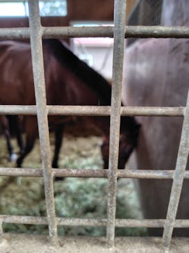 ノーザンホースパークに投稿された画像（2025/9/20）