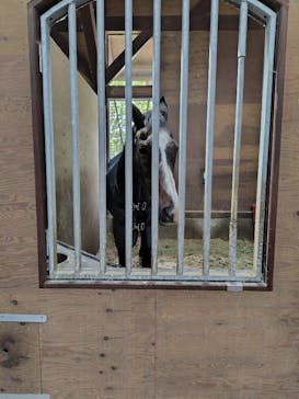 ノーザンホースパークに投稿された画像（2025/9/20）