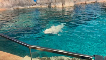 名古屋港水族館に投稿された画像（2025/9/20）