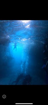 武藤潜水に投稿された画像（2025/9/20）