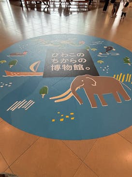 滋賀県立琵琶湖博物館に投稿された画像（2025/9/20）