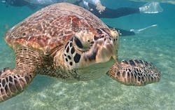 宮古島マリン GB QUESTに投稿された画像（2025/9/20）