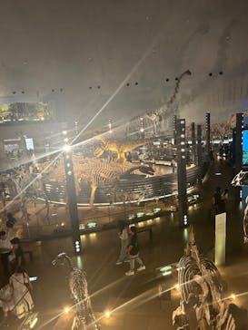 福井県立恐竜博物館に投稿された画像（2025/9/20）