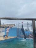 竹島水族館に投稿された画像（2025/9/20）
