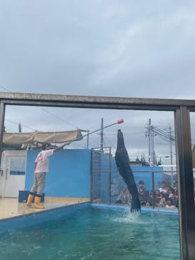 竹島水族館に投稿された画像（2025/9/20）