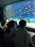 サンシャイン水族館に投稿された画像（2025/9/20）
