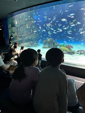 サンシャイン水族館に投稿された画像（2025/9/20）