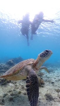 nico 宮古島に投稿された画像（2025/9/20）