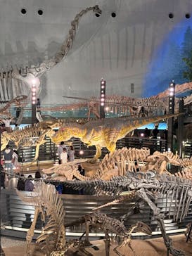 福井県立恐竜博物館に投稿された画像（2025/9/20）