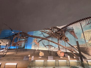 福井県立恐竜博物館に投稿された画像（2025/9/20）