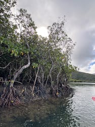 スローガイド奄美に投稿された画像（2025/9/20）