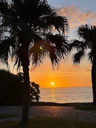 スローガイド奄美に投稿された画像（2025/9/20）