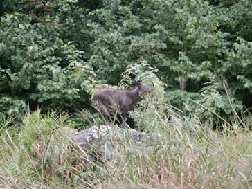 ELEANOR (エレノア)に投稿された画像（2025/9/20）