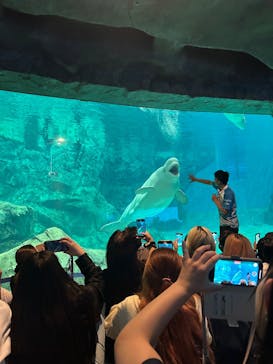 名古屋港水族館に投稿された画像（2025/9/20）