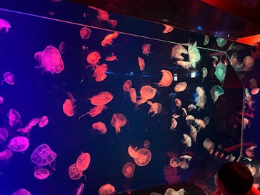 名古屋港水族館に投稿された画像（2025/9/20）