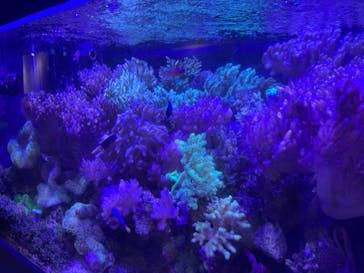 竹島水族館に投稿された画像（2025/9/20）