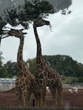 多摩動物公園に投稿された画像（2025/9/20）