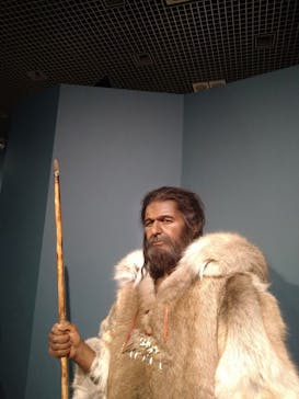 特別展「氷河期展 〜人類が見た4万年前の世界〜」（国立科学博物館）に投稿された画像（2025/9/20）