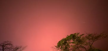 ハイパーミュージアム飯能に投稿された画像（2025/9/20）