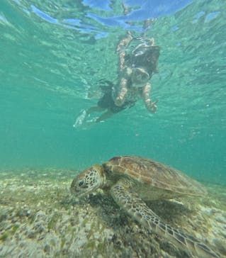 宮古島マリン SUGAR3（シュガースリー）に投稿された画像（2025/9/20）