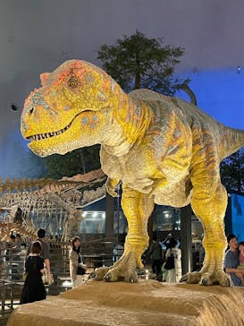 福井県立恐竜博物館に投稿された画像（2025/9/20）