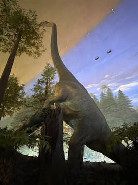 福井県立恐竜博物館に投稿された画像（2025/9/20）