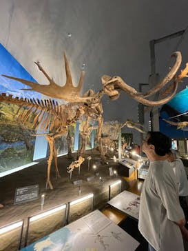 福井県立恐竜博物館に投稿された画像（2025/9/20）