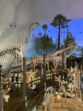 福井県立恐竜博物館に投稿された画像（2025/9/20）