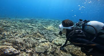 ダイブロックに投稿された画像（2025/9/20）