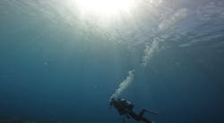 ダイブロックに投稿された画像（2025/9/20）