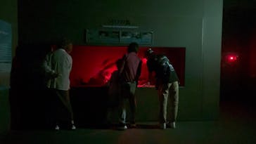 世界淡水魚園水族館　アクア・トトぎふに投稿された画像（2025/9/20）