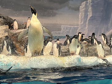 名古屋港水族館に投稿された画像（2025/9/20）