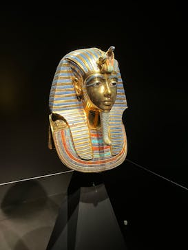 MYSTERY OF TUTANKHAMEN 体感型古代エジプト展に投稿された画像（2025/9/20）