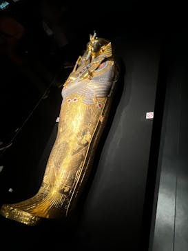 MYSTERY OF TUTANKHAMEN 体感型古代エジプト展に投稿された画像（2025/9/20）