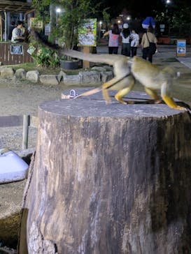 しろとり動物園に投稿された画像（2025/9/20）
