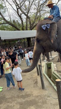 ANIMAL WONDER REZOURT 市原ぞうの国・サユリワールドに投稿された画像（2025/9/20）