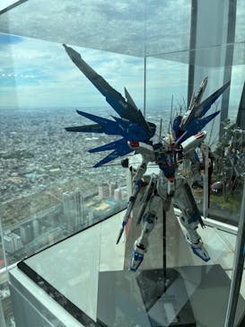 ハルカス300(展望台)に投稿された画像（2025/9/20）