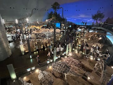 福井県立恐竜博物館に投稿された画像（2025/9/20）
