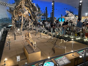 福井県立恐竜博物館に投稿された画像（2025/9/20）