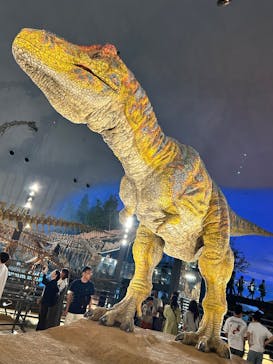 福井県立恐竜博物館に投稿された画像（2025/9/20）