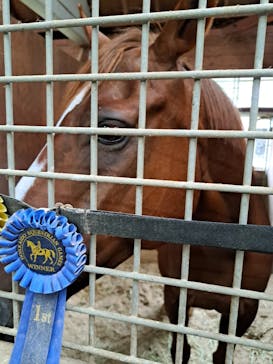 ノーザンホースパークに投稿された画像（2025/9/20）