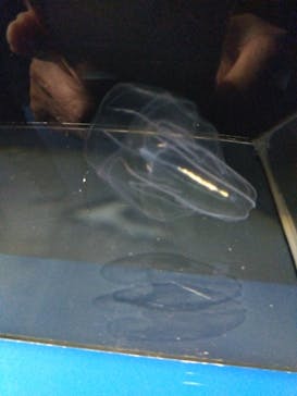 サンシャイン水族館に投稿された画像（2025/9/20）