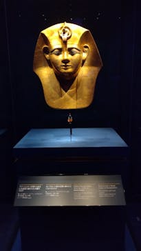 ACN ラムセス大王展 ファラオたちの黄金に投稿された画像（2025/9/20）