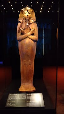 ACN ラムセス大王展 ファラオたちの黄金に投稿された画像（2025/9/20）