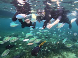 SUP&カヤック&シュノーケリング GoodGoodSunに投稿された画像（2025/9/20）