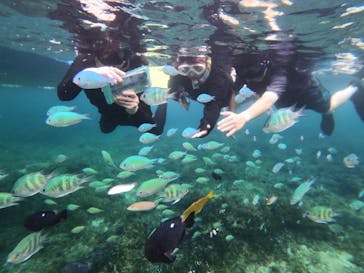 SUP&カヤック&シュノーケリング GoodGoodSunに投稿された画像（2025/9/20）